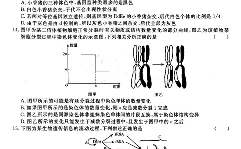 河南省青桐鸣大联考2024届高三上学期10月模拟预测生物(1)_2023年10月_01每日更新_9号_2024届河南省青桐鸣大联考高三上学期10月模拟预测