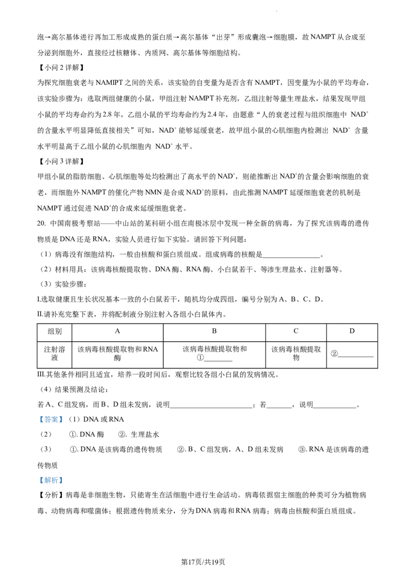 精品解析：贵州省贵阳市一中2023-2024学年高三10月月考生物试题（解析版）(1)_2023年10月_0210月合集_2024届贵州省贵阳市第一中学高三上学期高考适应性月考（二）