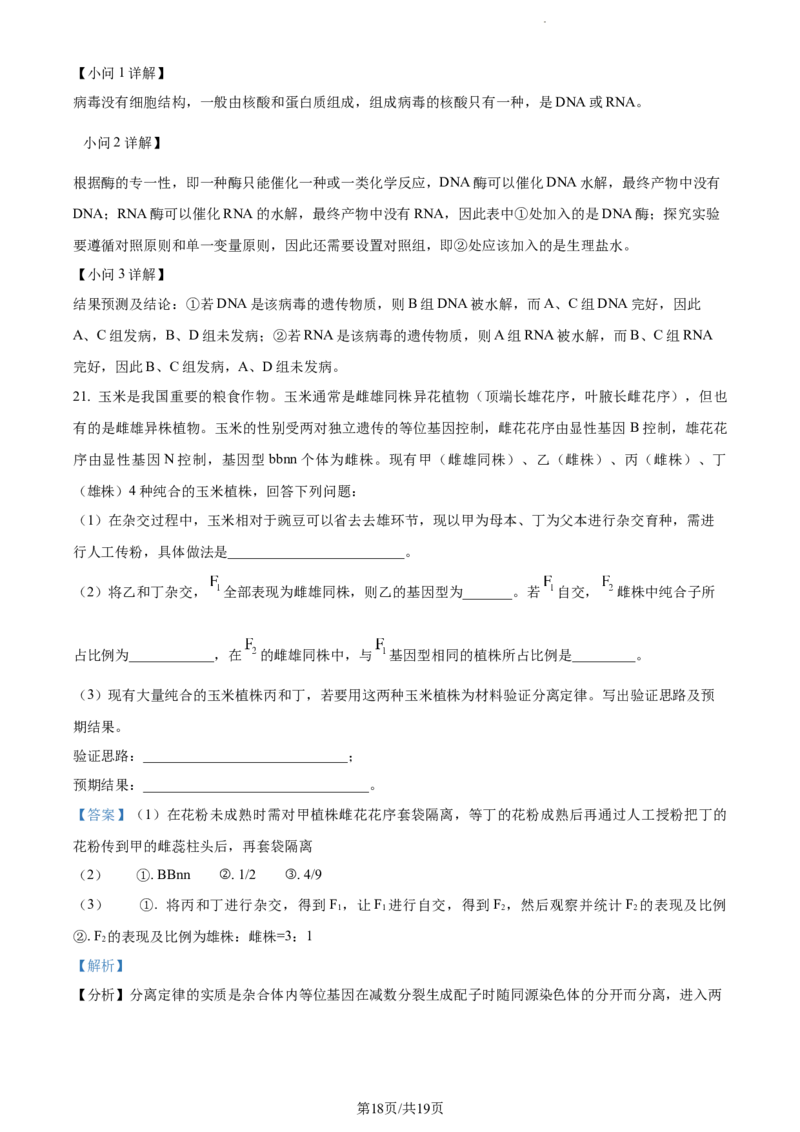 精品解析：贵州省贵阳市一中2023-2024学年高三10月月考生物试题（解析版）(1)_2023年10月_0210月合集_2024届贵州省贵阳市第一中学高三上学期高考适应性月考（二）