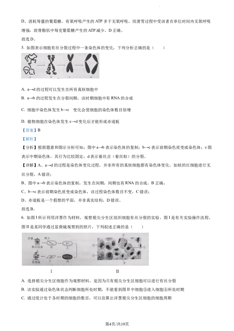 精品解析：贵州省贵阳市一中2023-2024学年高三10月月考生物试题（解析版）(1)_2023年10月_0210月合集_2024届贵州省贵阳市第一中学高三上学期高考适应性月考（二）