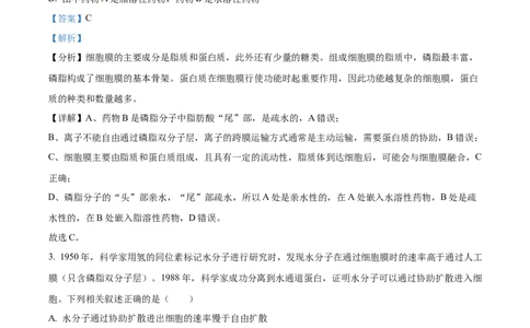 精品解析：贵州省贵阳市一中2023-2024学年高三10月月考生物试题（解析版）(1)_2023年10月_0210月合集_2024届贵州省贵阳市第一中学高三上学期高考适应性月考（二）