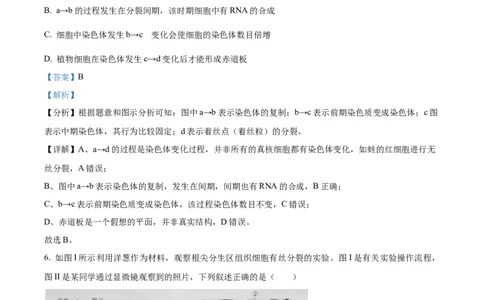精品解析：贵州省贵阳市一中2023-2024学年高三10月月考生物试题（解析版）(1)_2023年10月_0210月合集_2024届贵州省贵阳市第一中学高三上学期高考适应性月考（二）