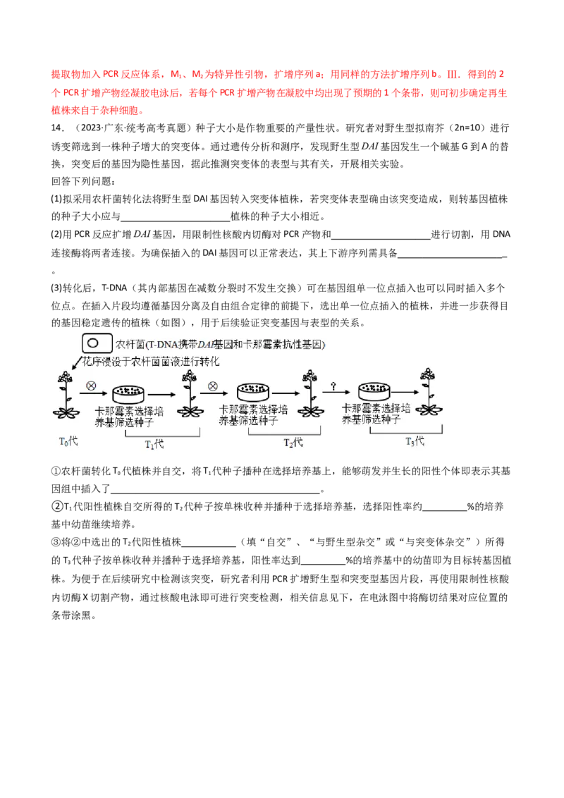 专题25基因工程（解析卷）_近10年高考真题汇编（必刷）_十年（2014-2024）高考生物真题分项汇编（全国通用）_十年（2014-2023）高考生物真题分项汇编（全国通用）