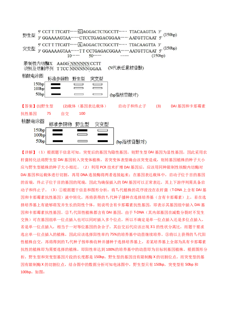 专题25基因工程（解析卷）_近10年高考真题汇编（必刷）_十年（2014-2024）高考生物真题分项汇编（全国通用）_十年（2014-2023）高考生物真题分项汇编（全国通用）