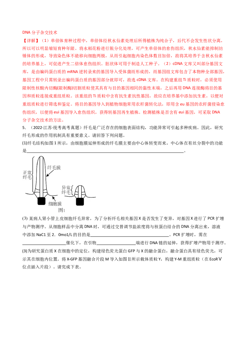 专题25基因工程（解析卷）_近10年高考真题汇编（必刷）_十年（2014-2024）高考生物真题分项汇编（全国通用）_十年（2014-2023）高考生物真题分项汇编（全国通用）