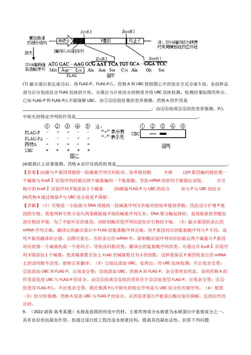 专题25基因工程（解析卷）_近10年高考真题汇编（必刷）_十年（2014-2024）高考生物真题分项汇编（全国通用）_十年（2014-2023）高考生物真题分项汇编（全国通用）