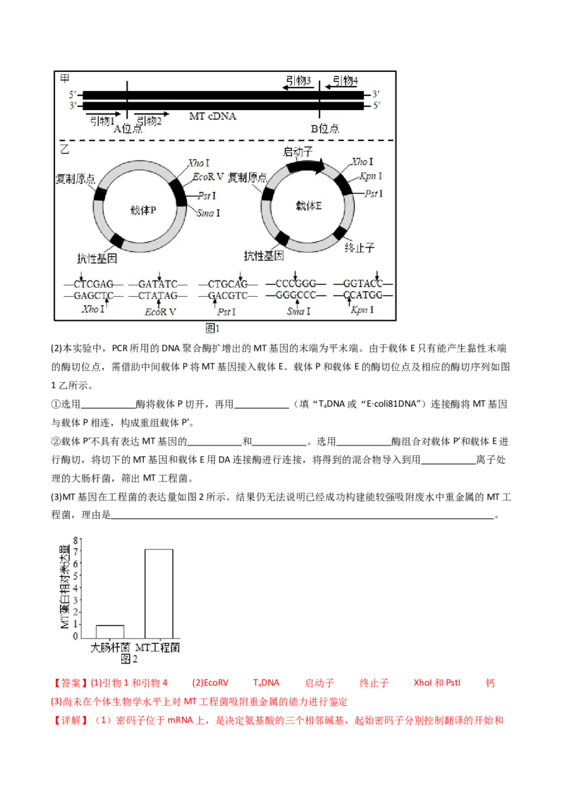 专题25基因工程（解析卷）_近10年高考真题汇编（必刷）_十年（2014-2024）高考生物真题分项汇编（全国通用）_十年（2014-2023）高考生物真题分项汇编（全国通用）