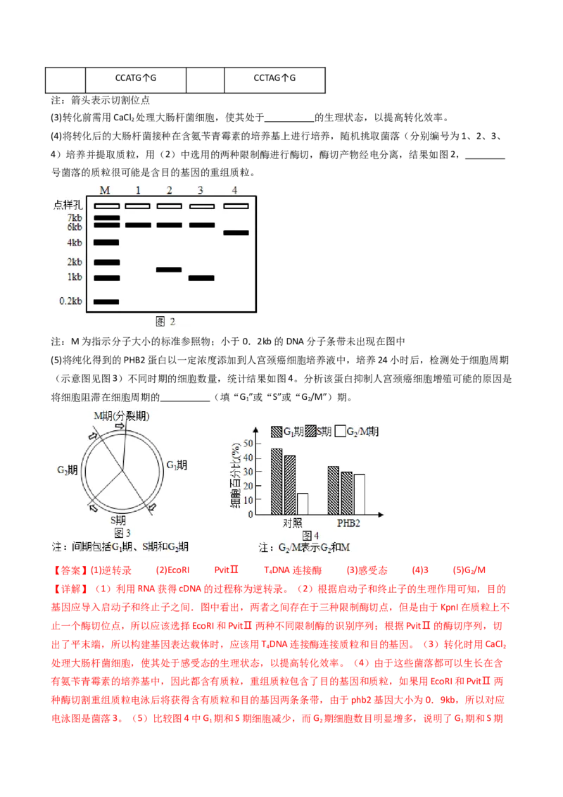 专题25基因工程（解析卷）_近10年高考真题汇编（必刷）_十年（2014-2024）高考生物真题分项汇编（全国通用）_十年（2014-2023）高考生物真题分项汇编（全国通用）