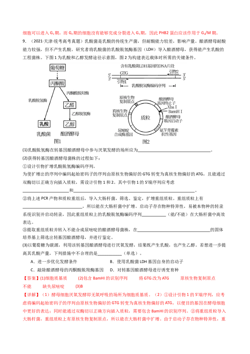 专题25基因工程（解析卷）_近10年高考真题汇编（必刷）_十年（2014-2024）高考生物真题分项汇编（全国通用）_十年（2014-2023）高考生物真题分项汇编（全国通用）