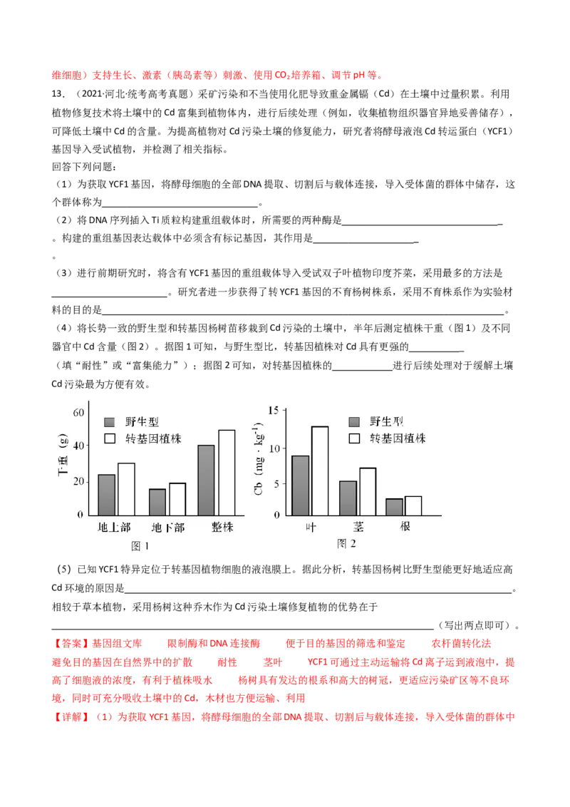 专题25基因工程（解析卷）_近10年高考真题汇编（必刷）_十年（2014-2024）高考生物真题分项汇编（全国通用）_十年（2014-2023）高考生物真题分项汇编（全国通用）