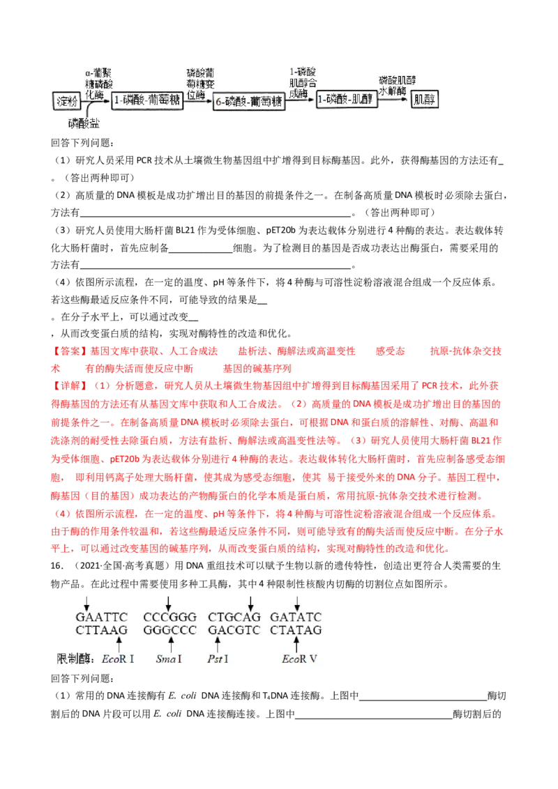 专题25基因工程（解析卷）_近10年高考真题汇编（必刷）_十年（2014-2024）高考生物真题分项汇编（全国通用）_十年（2014-2023）高考生物真题分项汇编（全国通用）