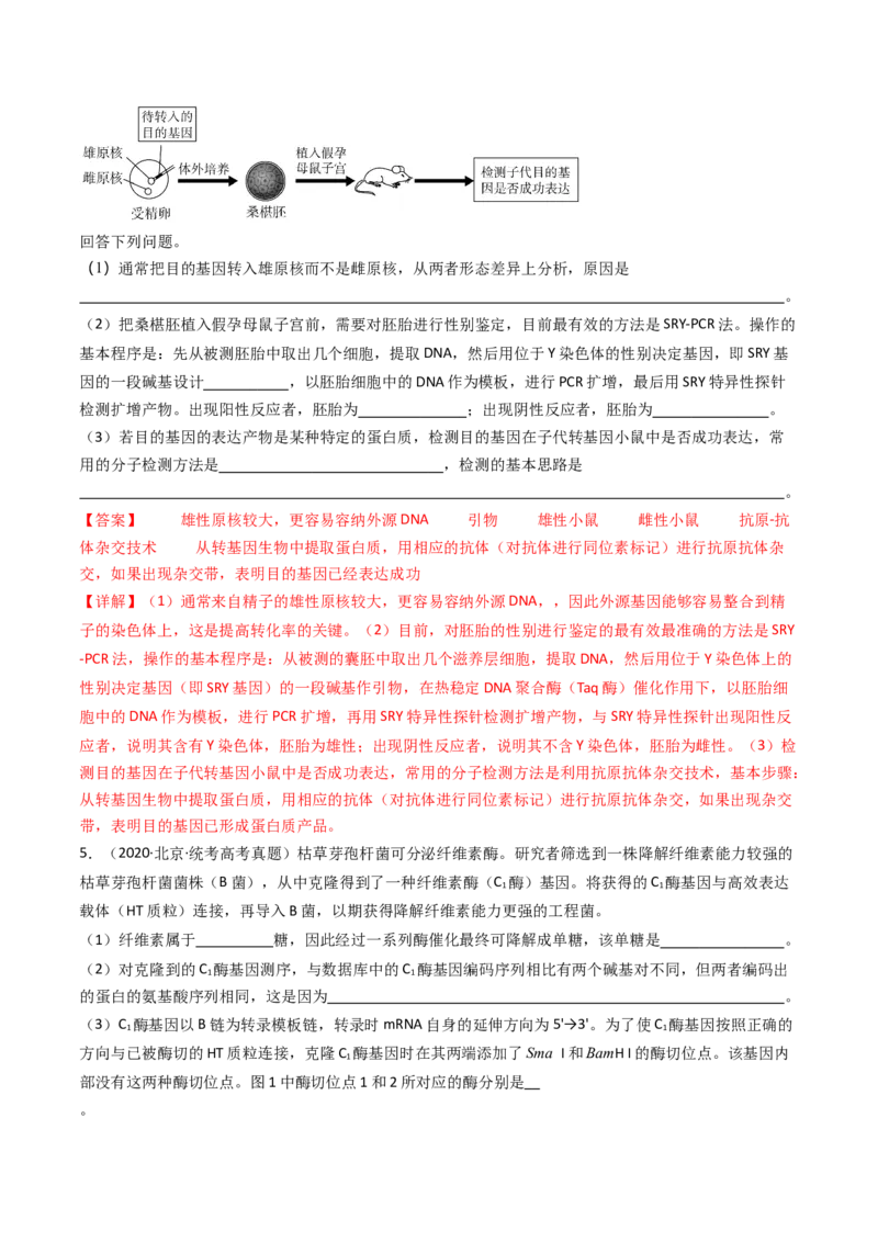 专题25基因工程（解析卷）_近10年高考真题汇编（必刷）_十年（2014-2024）高考生物真题分项汇编（全国通用）_十年（2014-2023）高考生物真题分项汇编（全国通用）