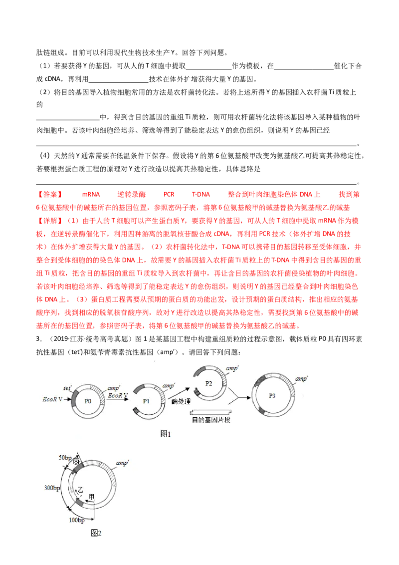 专题25基因工程（解析卷）_近10年高考真题汇编（必刷）_十年（2014-2024）高考生物真题分项汇编（全国通用）_十年（2014-2023）高考生物真题分项汇编（全国通用）