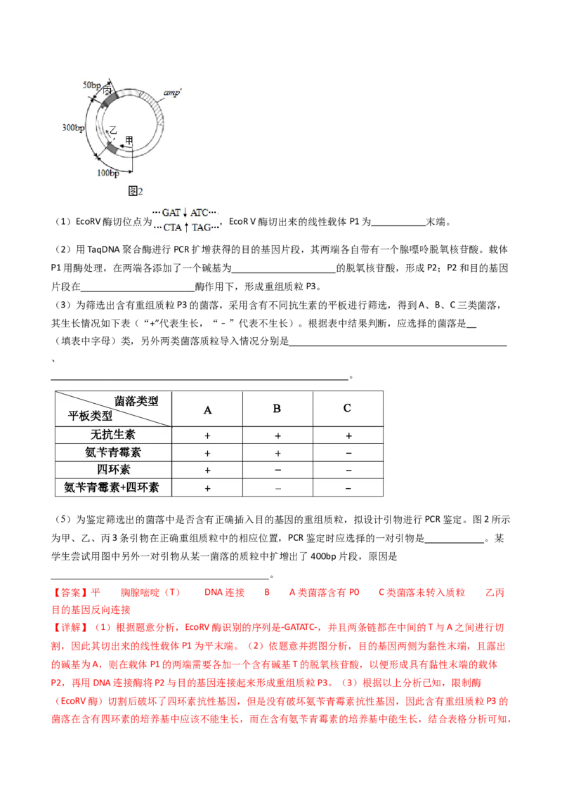 专题25基因工程（解析卷）_近10年高考真题汇编（必刷）_十年（2014-2024）高考生物真题分项汇编（全国通用）_十年（2014-2023）高考生物真题分项汇编（全国通用）