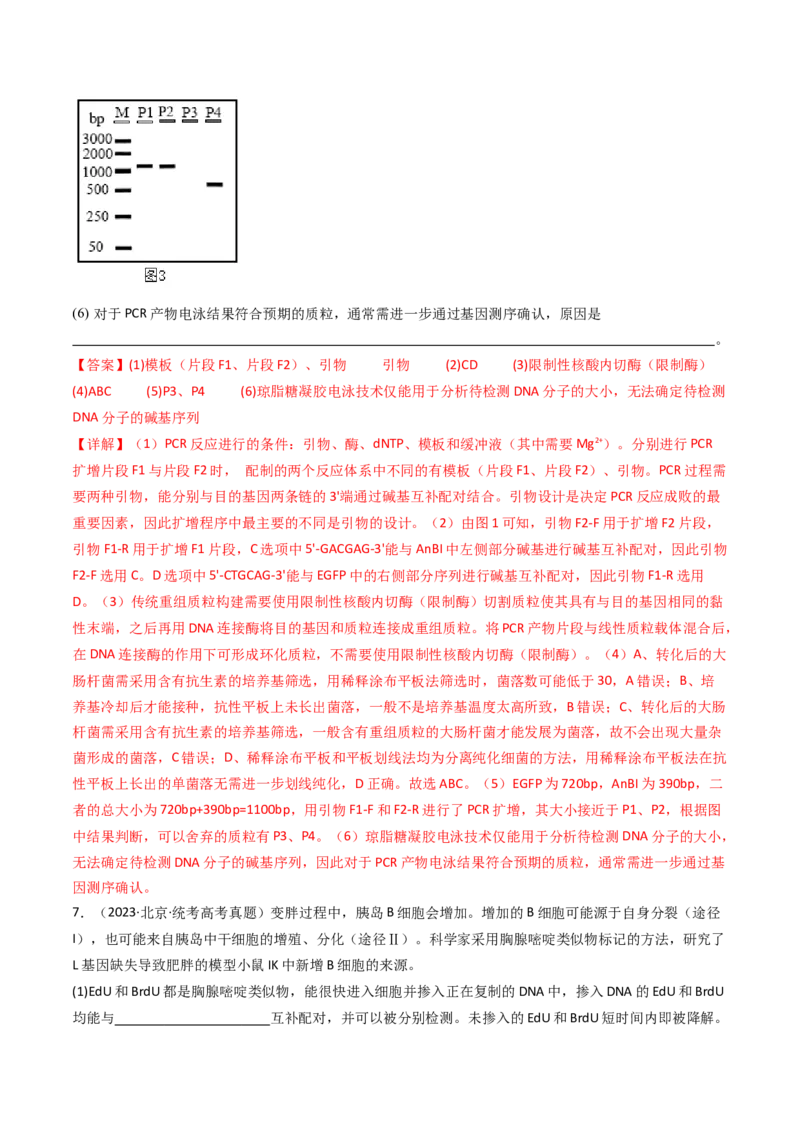 专题25基因工程（解析卷）_近10年高考真题汇编（必刷）_十年（2014-2024）高考生物真题分项汇编（全国通用）_十年（2014-2023）高考生物真题分项汇编（全国通用）