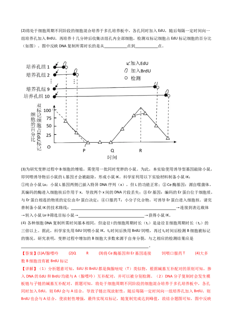 专题25基因工程（解析卷）_近10年高考真题汇编（必刷）_十年（2014-2024）高考生物真题分项汇编（全国通用）_十年（2014-2023）高考生物真题分项汇编（全国通用）