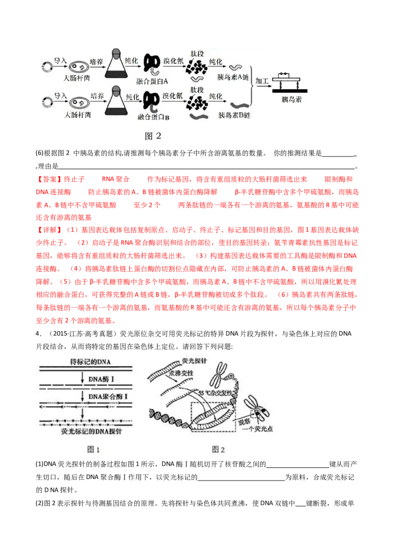 专题25基因工程（解析卷）_近10年高考真题汇编（必刷）_十年（2014-2024）高考生物真题分项汇编（全国通用）_十年（2014-2023）高考生物真题分项汇编（全国通用）