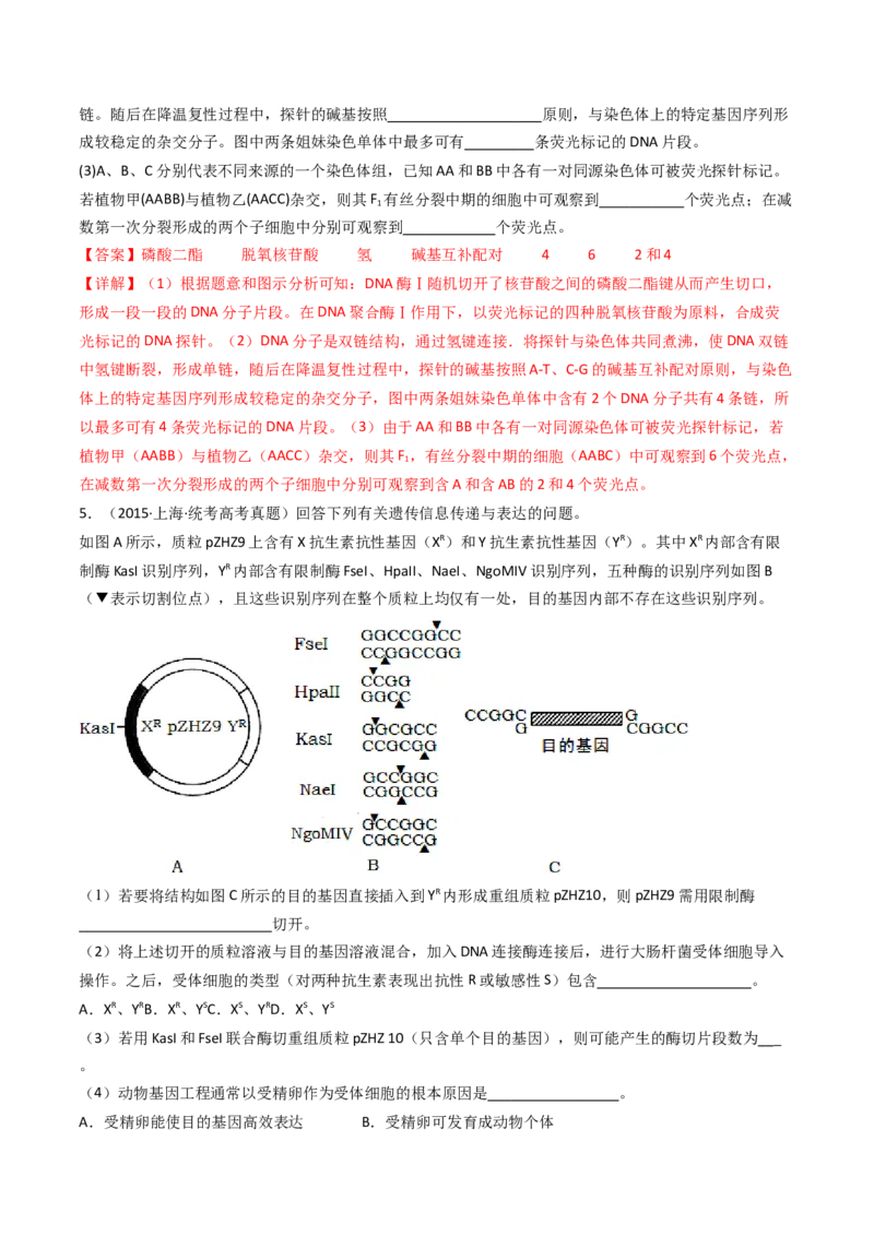 专题25基因工程（解析卷）_近10年高考真题汇编（必刷）_十年（2014-2024）高考生物真题分项汇编（全国通用）_十年（2014-2023）高考生物真题分项汇编（全国通用）