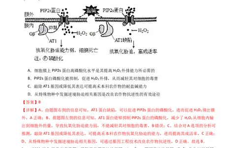 专题25基因工程（解析卷）_近10年高考真题汇编（必刷）_十年（2014-2024）高考生物真题分项汇编（全国通用）_十年（2014-2023）高考生物真题分项汇编（全国通用）