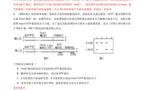 专题25基因工程（解析卷）_近10年高考真题汇编（必刷）_十年（2014-2024）高考生物真题分项汇编（全国通用）_十年（2014-2023）高考生物真题分项汇编（全国通用）
