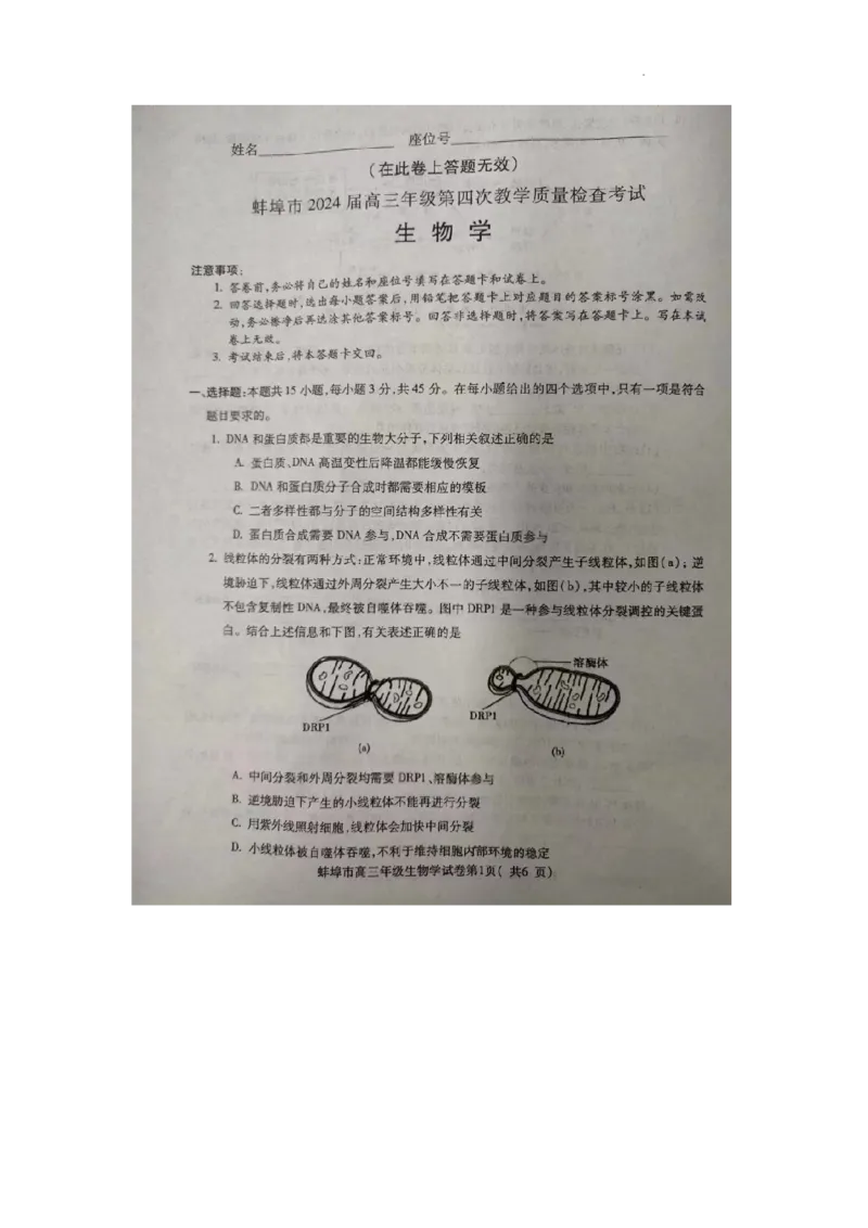2024届安徽省蚌埠市高三第四次教学质量检查生物试卷_2024年4月_01按日期_21号_2024届安徽省蚌埠四模（滁州二模）_2024届安徽省蚌埠市高三第四次教学质量检查生物试卷