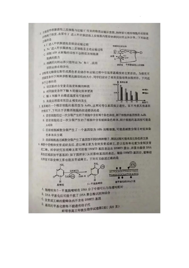 2024届安徽省蚌埠市高三第四次教学质量检查生物试卷_2024年4月_01按日期_21号_2024届安徽省蚌埠四模（滁州二模）_2024届安徽省蚌埠市高三第四次教学质量检查生物试卷
