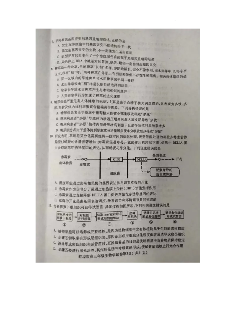 2024届安徽省蚌埠市高三第四次教学质量检查生物试卷_2024年4月_01按日期_21号_2024届安徽省蚌埠四模（滁州二模）_2024届安徽省蚌埠市高三第四次教学质量检查生物试卷