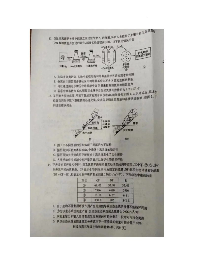 2024届安徽省蚌埠市高三第四次教学质量检查生物试卷_2024年4月_01按日期_21号_2024届安徽省蚌埠四模（滁州二模）_2024届安徽省蚌埠市高三第四次教学质量检查生物试卷