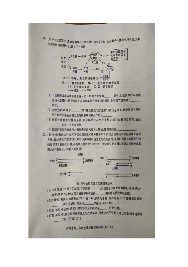 2024届安徽省蚌埠市高三第四次教学质量检查生物试卷_2024年4月_01按日期_21号_2024届安徽省蚌埠四模（滁州二模）_2024届安徽省蚌埠市高三第四次教学质量检查生物试卷