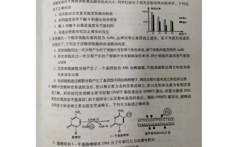 2024届安徽省蚌埠市高三第四次教学质量检查生物试卷_2024年4月_01按日期_21号_2024届安徽省蚌埠四模（滁州二模）_2024届安徽省蚌埠市高三第四次教学质量检查生物试卷