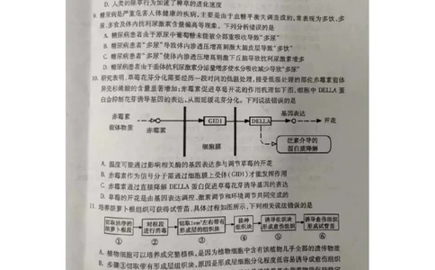 2024届安徽省蚌埠市高三第四次教学质量检查生物试卷_2024年4月_01按日期_21号_2024届安徽省蚌埠四模（滁州二模）_2024届安徽省蚌埠市高三第四次教学质量检查生物试卷