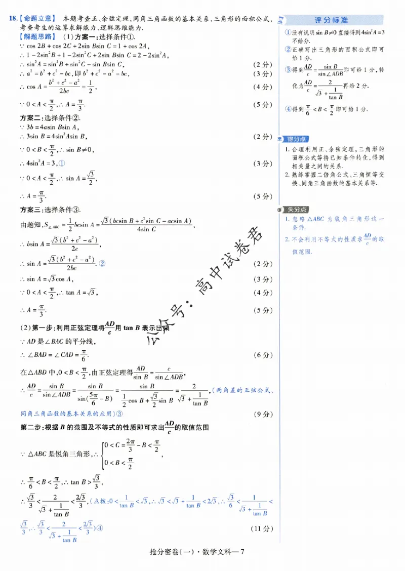 评分标准一题一模板数学文科答案_2024高考押题卷_12024天星全系列_tx抢分密卷_tx抢分密卷（老教材）