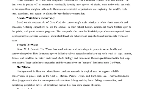 2025届内蒙古多校高三上学期第一次联考英语试题(1)_8月_2408242025届内蒙古金太阳联考高三上学期8月月考