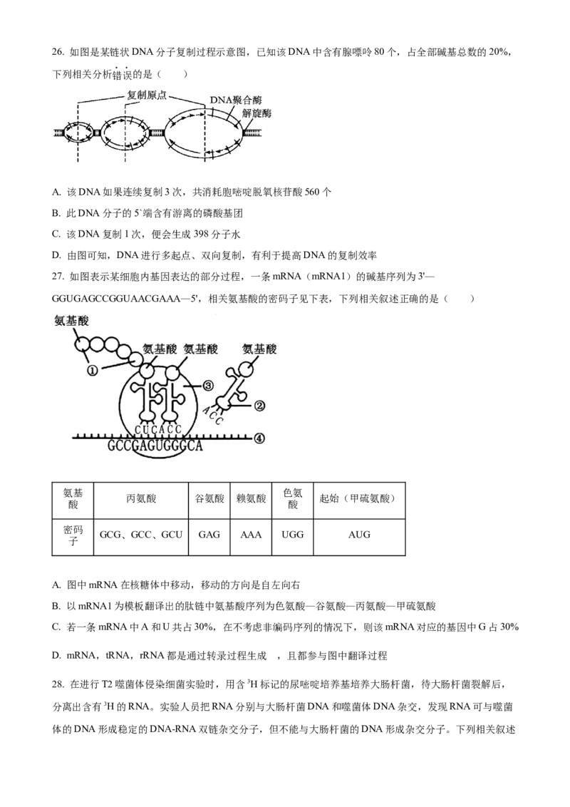 河南省TOP二十名校2024届高三上学期调研考试（四）生物(1)_2023年10月_01每日更新_18号_2024届河南省TOP二十名校高三上学期调研考试（四）