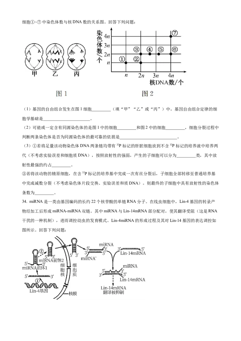 河南省TOP二十名校2024届高三上学期调研考试（四）生物(1)_2023年10月_01每日更新_18号_2024届河南省TOP二十名校高三上学期调研考试（四）