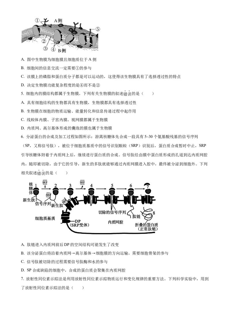 河南省TOP二十名校2024届高三上学期调研考试（四）生物(1)_2023年10月_01每日更新_18号_2024届河南省TOP二十名校高三上学期调研考试（四）