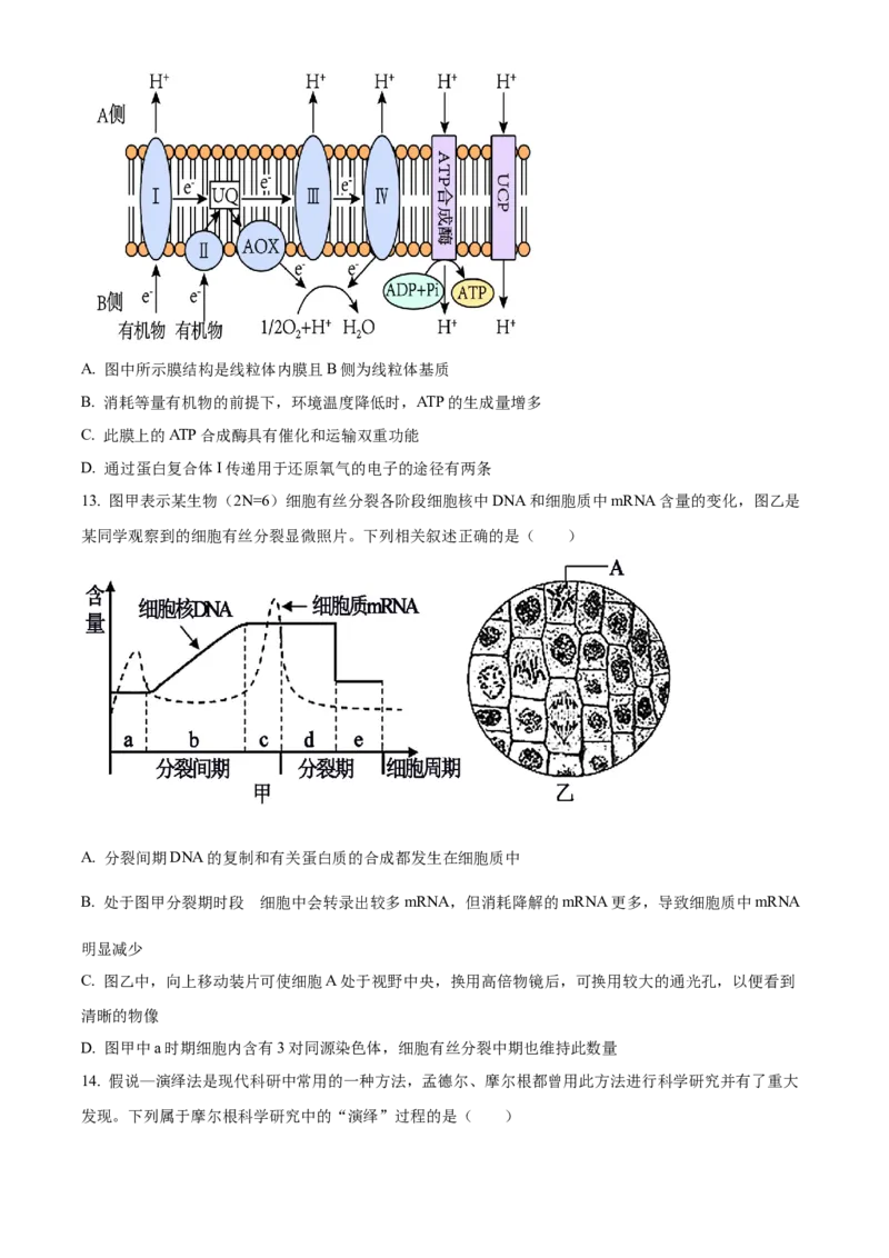 河南省TOP二十名校2024届高三上学期调研考试（四）生物(1)_2023年10月_01每日更新_18号_2024届河南省TOP二十名校高三上学期调研考试（四）