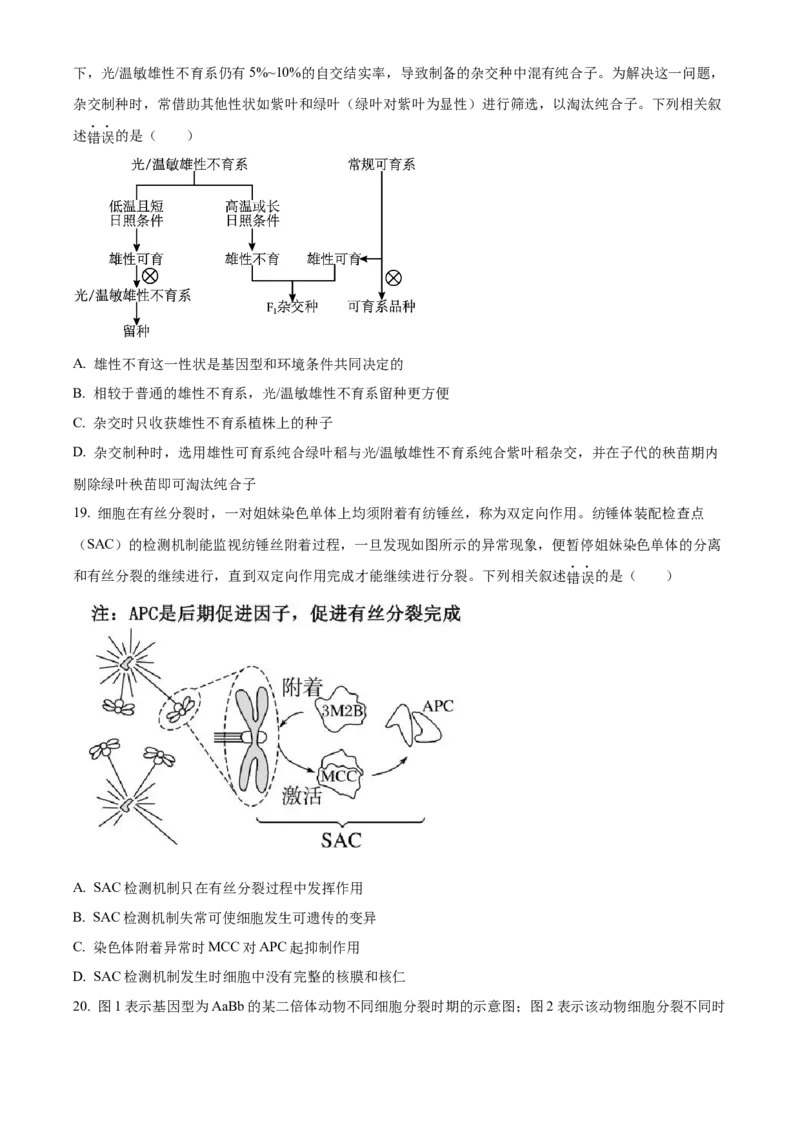 河南省TOP二十名校2024届高三上学期调研考试（四）生物(1)_2023年10月_01每日更新_18号_2024届河南省TOP二十名校高三上学期调研考试（四）
