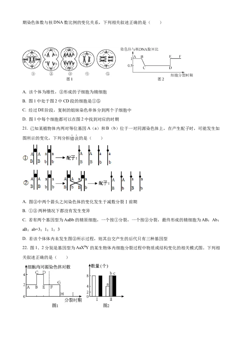 河南省TOP二十名校2024届高三上学期调研考试（四）生物(1)_2023年10月_01每日更新_18号_2024届河南省TOP二十名校高三上学期调研考试（四）
