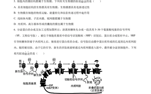 河南省TOP二十名校2024届高三上学期调研考试（四）生物(1)_2023年10月_01每日更新_18号_2024届河南省TOP二十名校高三上学期调研考试（四）
