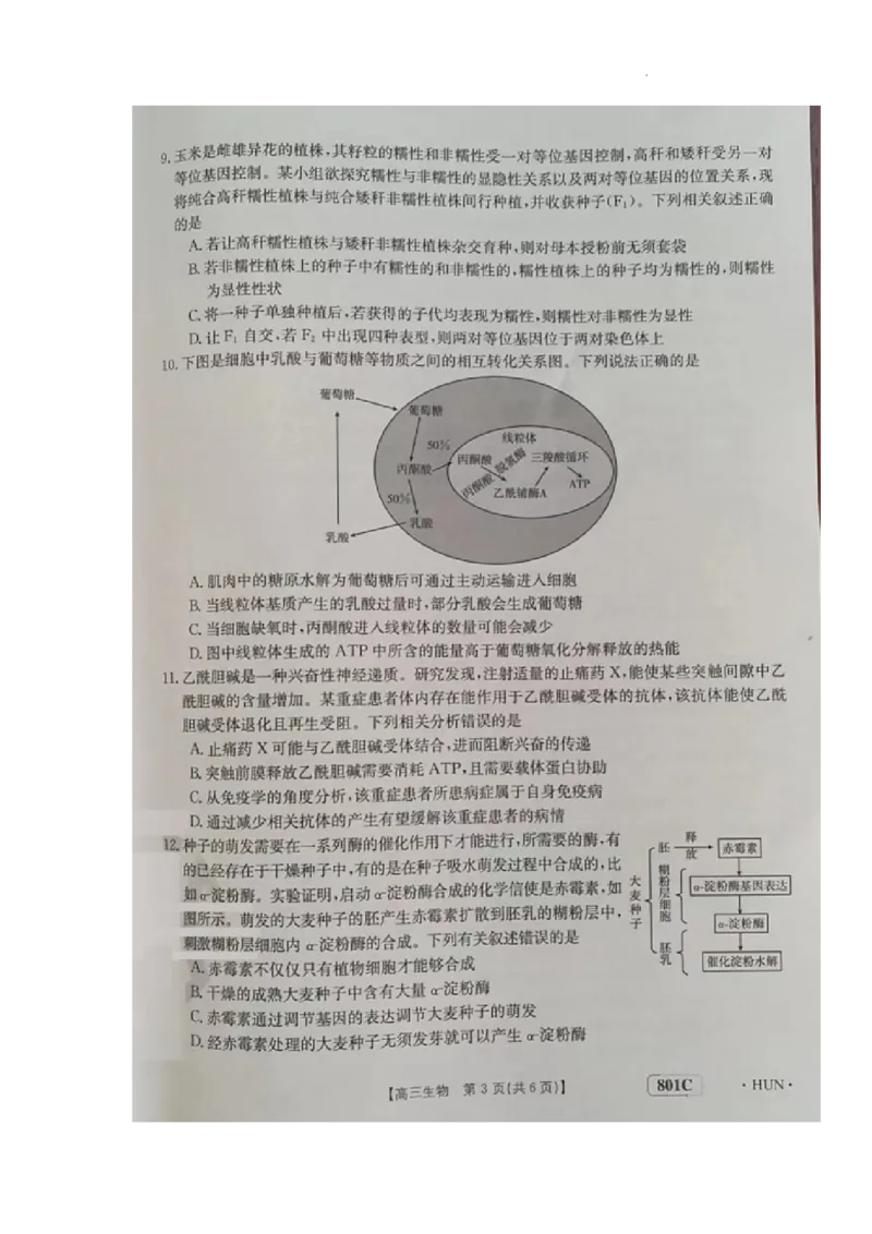 生物试题(1)_2023年7月_027月合集_2023届湖南金太阳高三8月联考（801C）