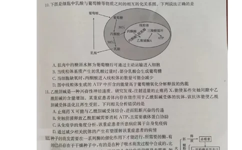 生物试题(1)_2023年7月_027月合集_2023届湖南金太阳高三8月联考（801C）