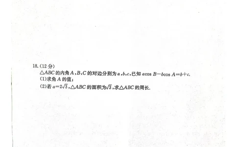河北省邢台市五岳联盟2023-2024学年高三上学期第四次月考数学试题(1)_2023年10月_0210月合集_2024届河北省邢台市五岳联盟高三上学期第四次月考金太阳（24-91C）