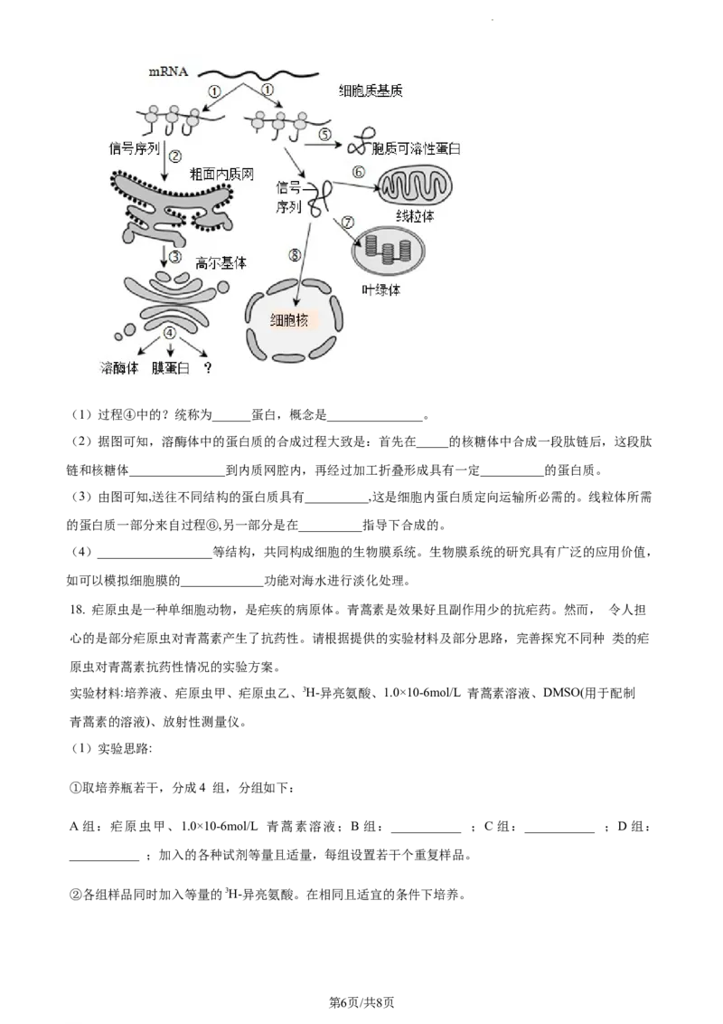 精品解析：福建省龙岩市一中2023-2024学年高三上学期第一次月考生物试题（原卷版）(1)_2023年10月_0210月合集_2024届福建省龙岩第一中学高三上学期第一次月考