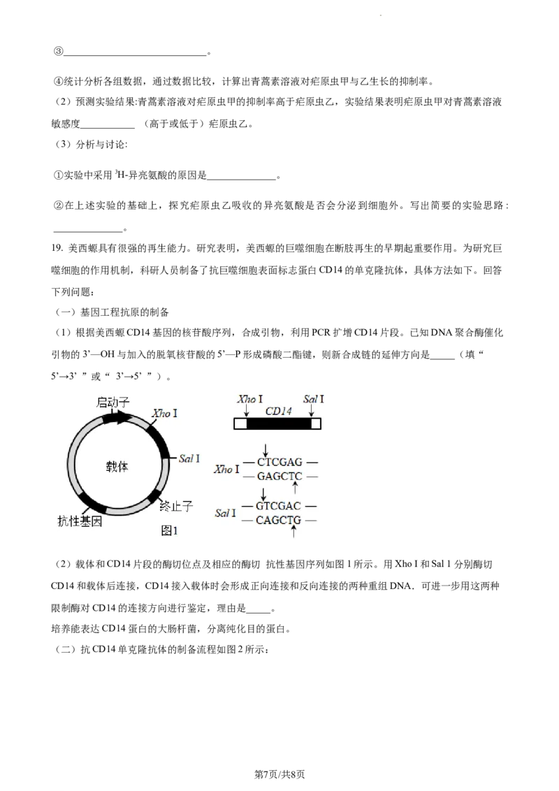 精品解析：福建省龙岩市一中2023-2024学年高三上学期第一次月考生物试题（原卷版）(1)_2023年10月_0210月合集_2024届福建省龙岩第一中学高三上学期第一次月考