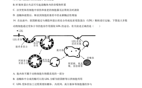 精品解析：福建省龙岩市一中2023-2024学年高三上学期第一次月考生物试题（原卷版）(1)_2023年10月_0210月合集_2024届福建省龙岩第一中学高三上学期第一次月考