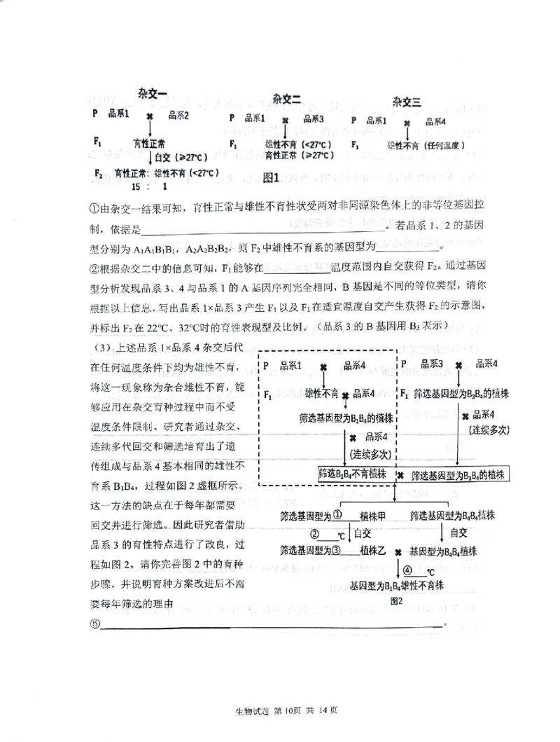 2024届山东省实验中学高三下学期5月针对性考试生物试题_2024年5月_01按日期_16号_2024届山东省实验中学高三下学期5月针对性考试