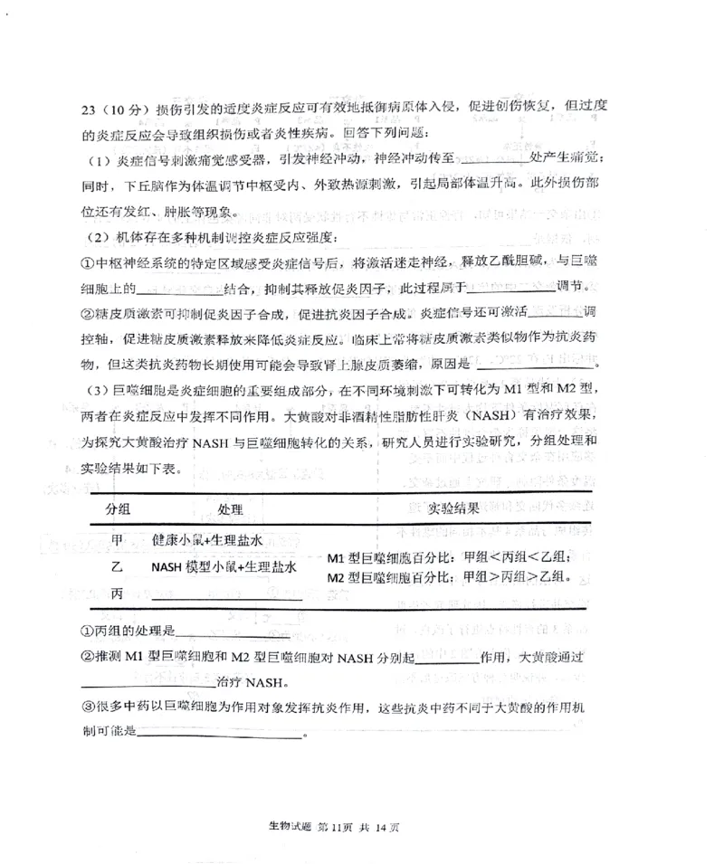 2024届山东省实验中学高三下学期5月针对性考试生物试题_2024年5月_01按日期_16号_2024届山东省实验中学高三下学期5月针对性考试