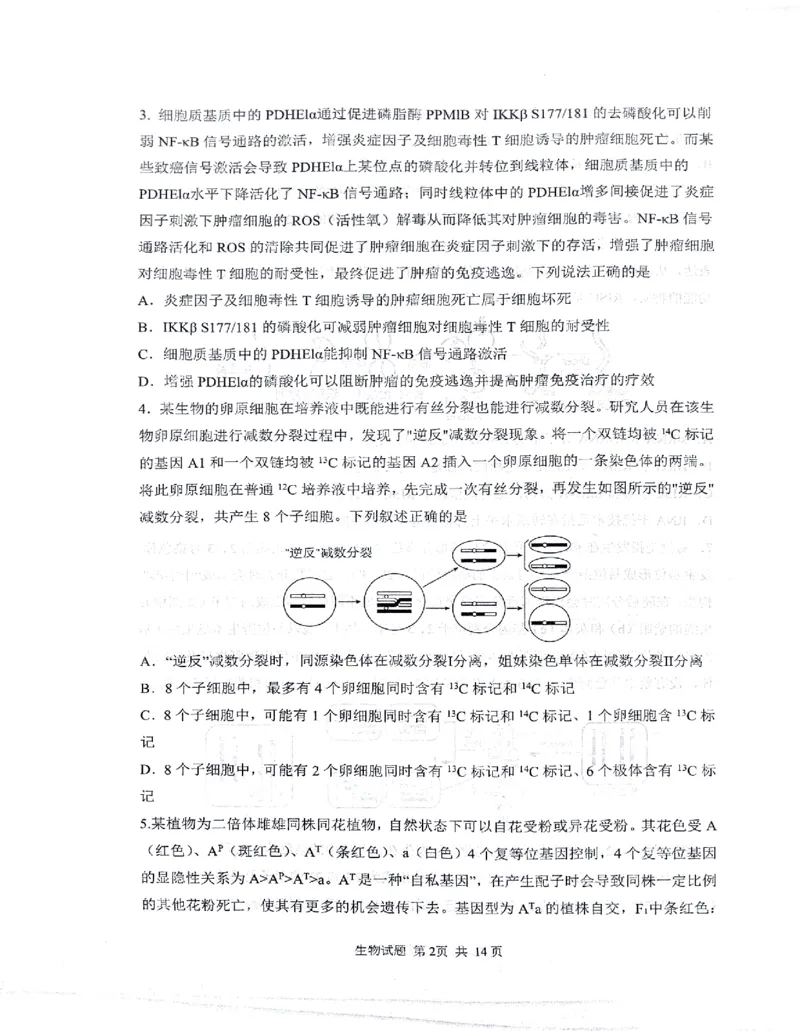 2024届山东省实验中学高三下学期5月针对性考试生物试题_2024年5月_01按日期_16号_2024届山东省实验中学高三下学期5月针对性考试