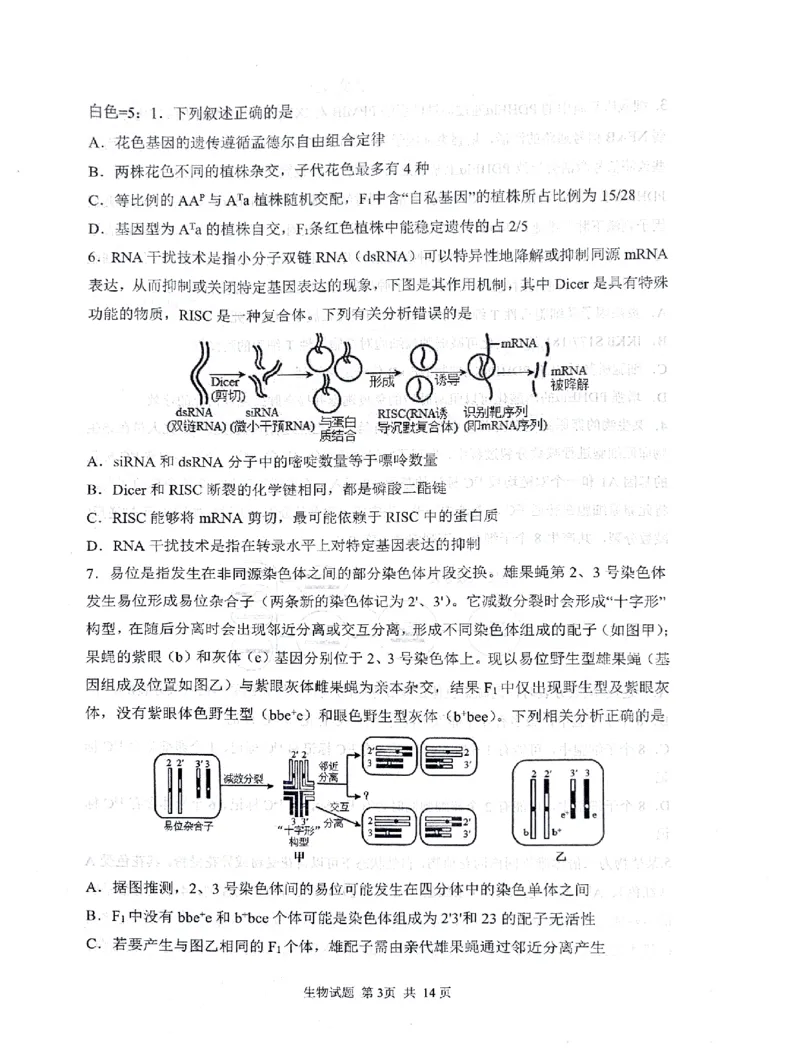 2024届山东省实验中学高三下学期5月针对性考试生物试题_2024年5月_01按日期_16号_2024届山东省实验中学高三下学期5月针对性考试